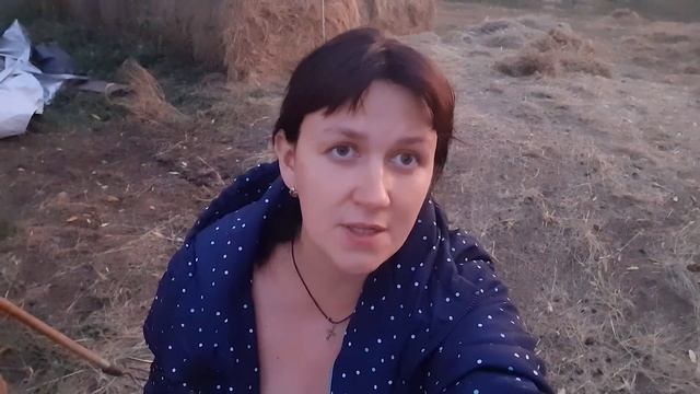 СРОЧНО ПРОДАЮ КОРОВ! смотреть онлайн