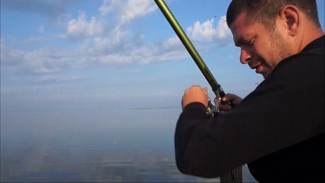 ОГРОМНАЯ ТАРАНЬ ПРЁТ | #РЫБАЛКА КРАСНОДАРСКИЙ КРАЙ | СЛАДКИЙ ЛИМАН смотреть онлайн