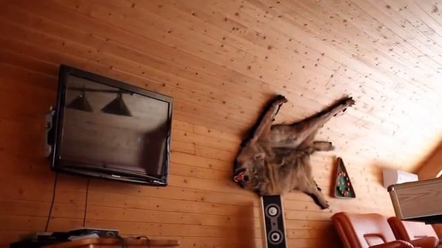 Лучшая база отдыха в Карелии смотреть онлайн