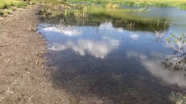 Твой Бывший #5. Источник вони. (СОБСТВЕННОЕ РАССЛЕДОВАНИЕ) смотреть онлайн