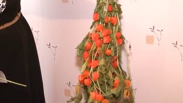 Дачные секретики "Физалис". смотреть онлайн