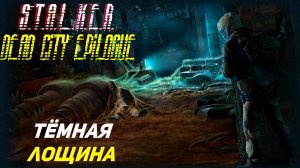 ПОДЗЕМЕЛЬЯ ТЁМНОЙ ЛОЩИНЫ ➤ S.T.A.L.K.E.R. Dead City Epilogue #4