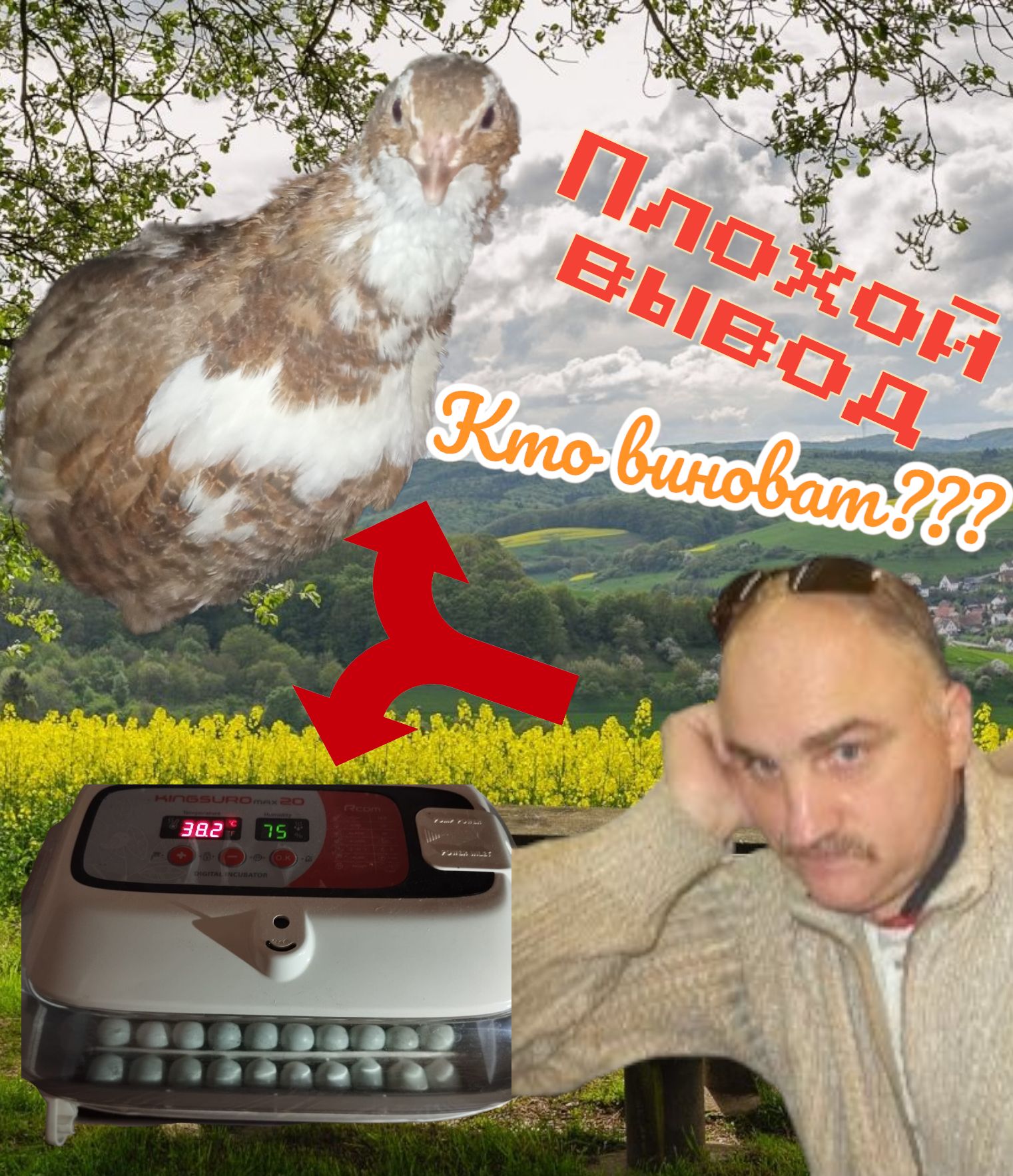 Кто виноват? Давно не было такого плохого вывода птенцов смотреть онлайн