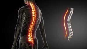 Настрой Сытина. Божественное Исцеление позвоночника.