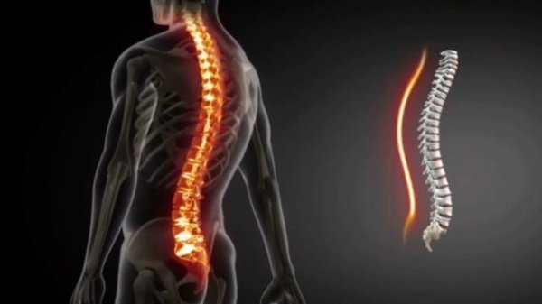 Настрой Сытина. Божественное Исцеление позвоночника.