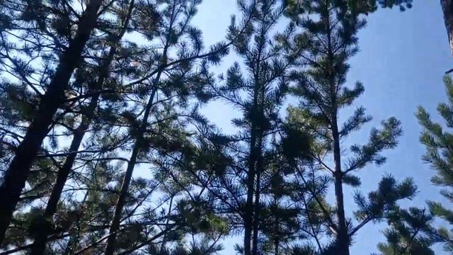 Море удачи, июль) смотреть онлайн