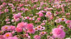 25 февраля Алексеев День. Что нельзя делать 25 февраля. Народные традиции и приметы.