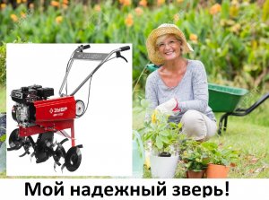 Российский культиватор ЗУБР МКТ-200 - Кто такой?