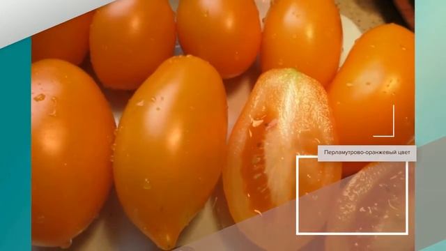Томат "Банан Оранжевый" - описание сорта смотреть онлайн