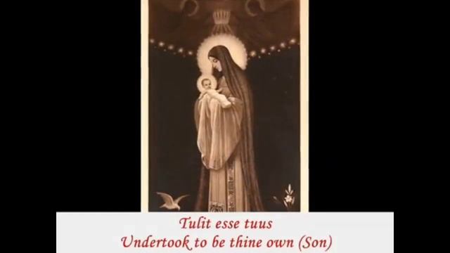 Immaculate Conception Ave Maris Stella смотреть онлайн