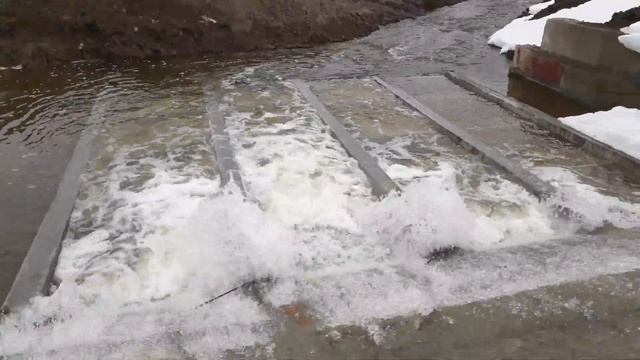 Ловля в Камышах