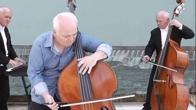 Bach Badinerie by Double Bass Player смотреть онлайн