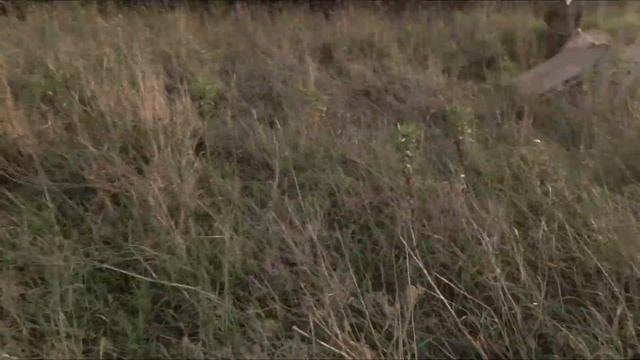 Как мастерили Enduro стадион смотреть онлайн