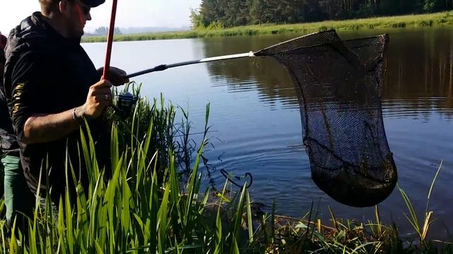 Линь больше кило) смотреть онлайн