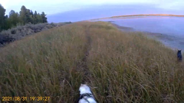 Ларгус дёргался на 2 и 3 передачах при наборе скорости. смотреть онлайн