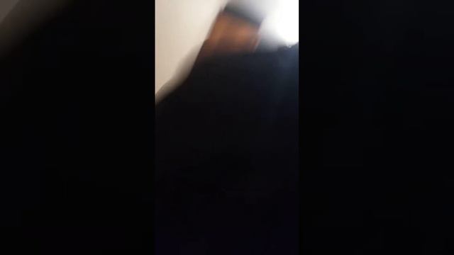 Это меня мать Татьяна Петровских выгоняет из дома смотреть онлайн