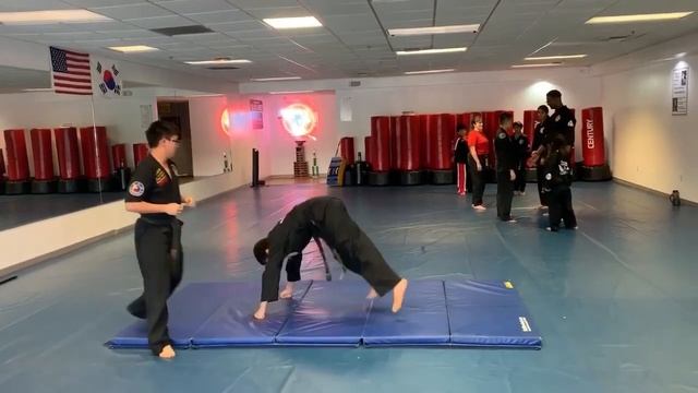 HapKiDo Demonstration смотреть онлайн