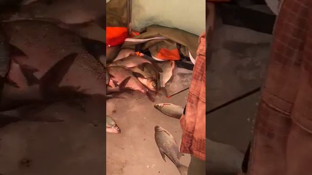 Рыбалка 8 го марта на Корчёвке смотреть онлайн