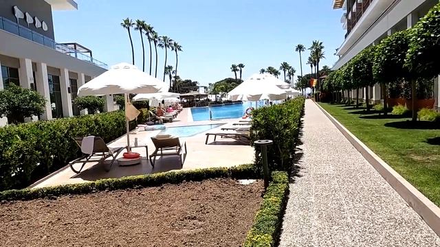 ACANTHUS CENNET BARUT COLLECTION SIDE TURKEY