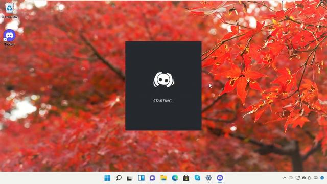Discord Gri Ekran Düzeltmesi - Windows 11 смотреть онлайн