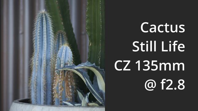 Vintage Carl Zeiss 135mm Review On Sony A7II смотреть онлайн