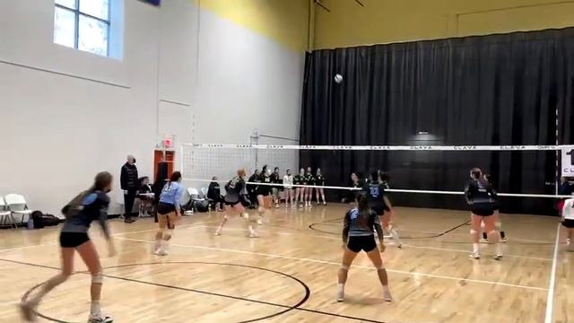 Donya Ghaffarian: Saddleback Volleyball Club 16 Kelli ; Libero #8 смотреть онлайн