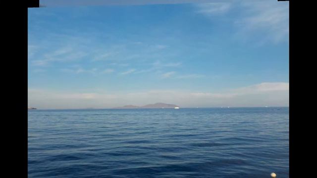 CLUB REEF смотреть онлайн