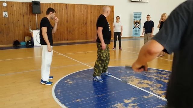 Семинар Вадима Старова в Братиславе, Словакия июнь 2015 смотреть онлайн