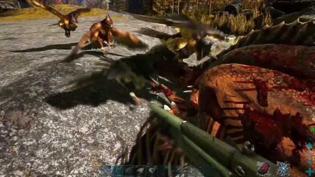 Обзор Ястреба Фьерда приручение и способности смотреть онлайн