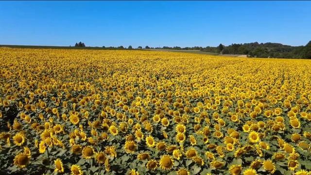 Учим Делать Качественно