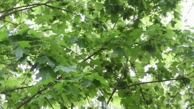 Гроза в мае. смотреть онлайн