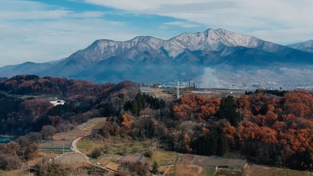 Моя золовка живет, как принцесса в сказке Только она пока не в курсе, что её принц ей изменяет смотреть онлайн