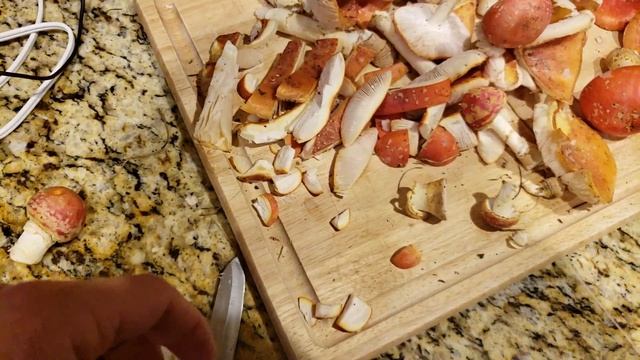 Dehydrating Amanita Muscaria mushrooms Amanita Persicina mushrooms смотреть онлайн
