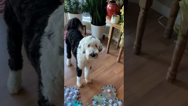 What an amazing conversation!! смотреть онлайн