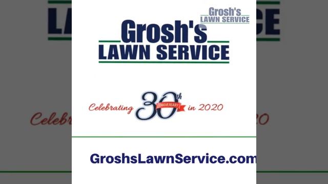 Ailanthus Tree Service Hedgesville WV Landscaping Contractor