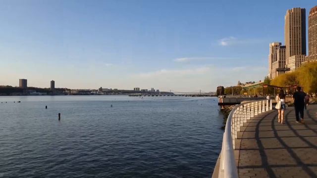 Top 10 things to do in New York City for 2024 смотреть онлайн