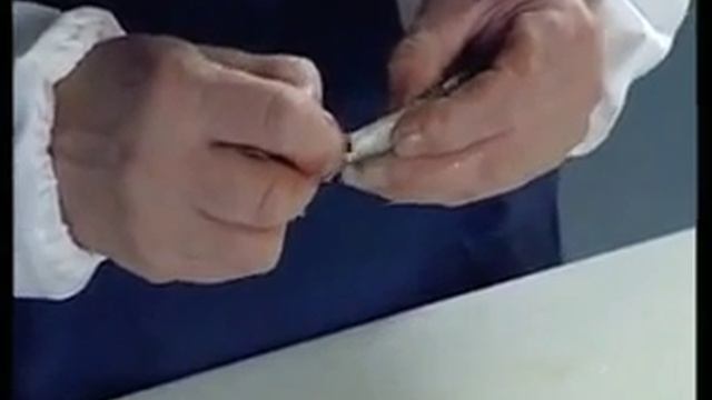 Чистка мелкой рыбки смотреть онлайн