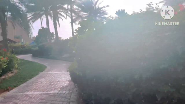 Coral Beach Resort Sharjah || A Quick Walking Tour 4K @ WanderlustforeverUAEvlogger