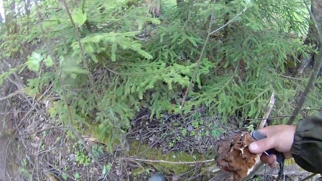 СТРОЧКИ ГИГАНТСКИЕ. Где искать строчки гигантские. Часть 2 смотреть онлайн