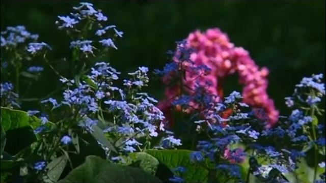 14 05 2019 Госпожа у дачи. Весенние цветы смотреть онлайн