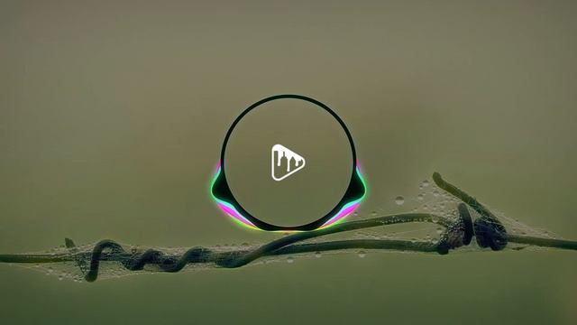 AERØHEAD - Path Of The Fireflies [No Copyright Sounds Library] смотреть онлайн
