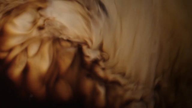 Carte Noire Cappuccino - кофе с высокой пенкой смотреть онлайн