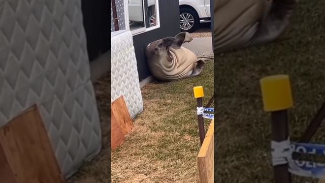 Я люблю свой район ?