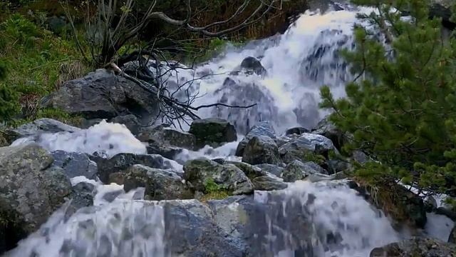 149/Видение"тонкого мира" от Лены Калашниковой. Цифровой концлагерь. смотреть онлайн