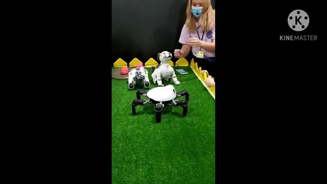 Выставка робототехники , роботы