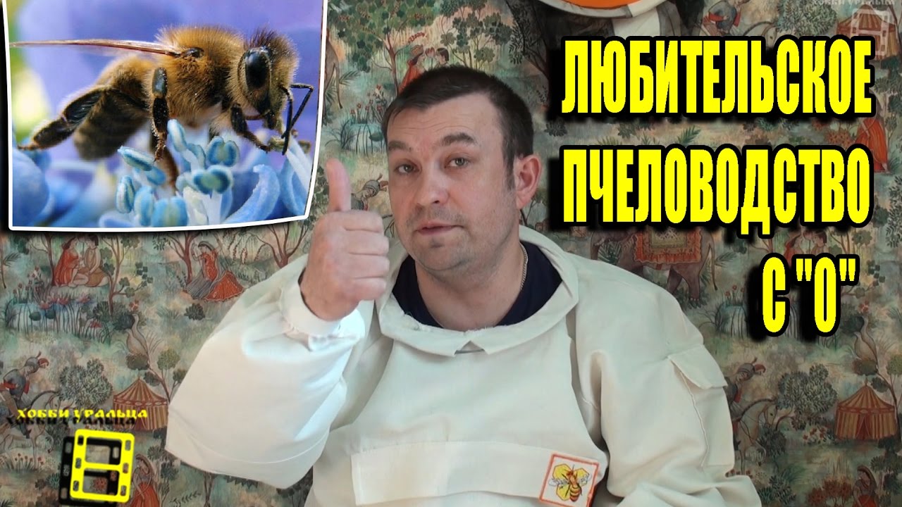 ЛЮБИТЕЛЬСКОЕ ПЧЕЛОВОДСТВО С 