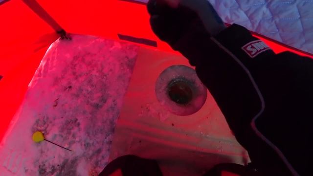 РЕАЛЬНЫЕ ПОКЛЁВКИ НА ПОПЛАВОК с лепестками В ЛУНКЕ НА ЗИМНЕЙ РЫБАЛКЕ смотреть онлайн