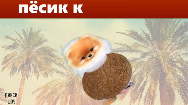 Пёсик Кокосик