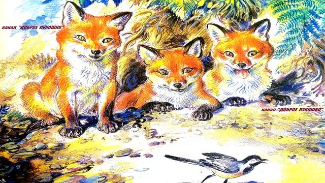 ВЕСЁЛАЯ ИГРА — Рассказ | Николай Сладков | Рассказы для детей | Рассказы про животных смотреть онлайн