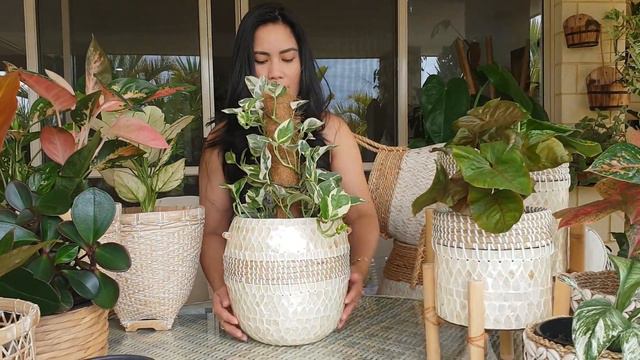 My Plantita Series Vlog #5 // BASKET PLANTER made from Cane, Bamboo, Rattan, Sea grass and Jute смотреть онлайн